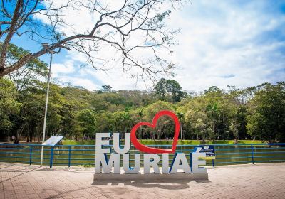 Lagoa da Gávea