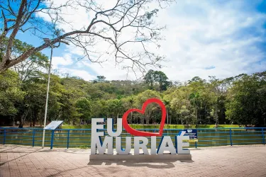 Muriae