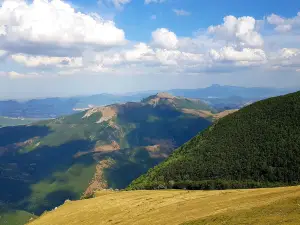 Monte Catria