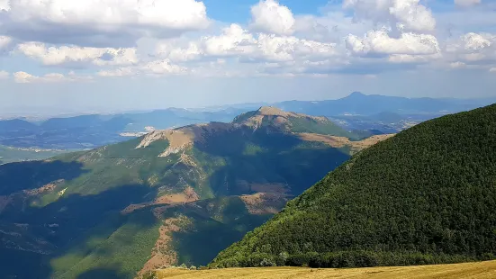 カトリア山