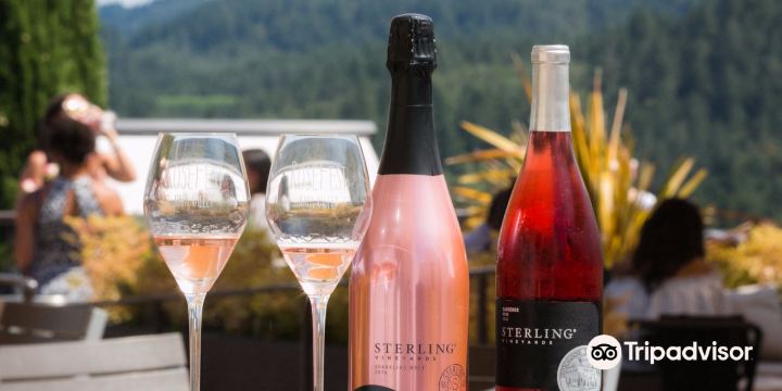 Sterling Vineyards