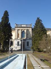 Municipal Fine Arts Museum (Kunstmuseum Solothurn)