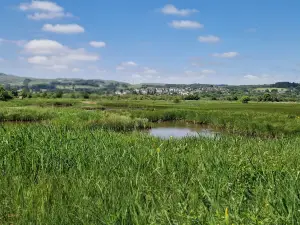 RSPB Scotland Lochwinnoch