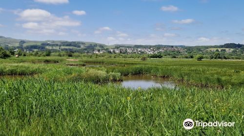 RSPB Lochwinnoch Nature Reserve