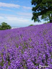 Horomitoge Lavender Garden