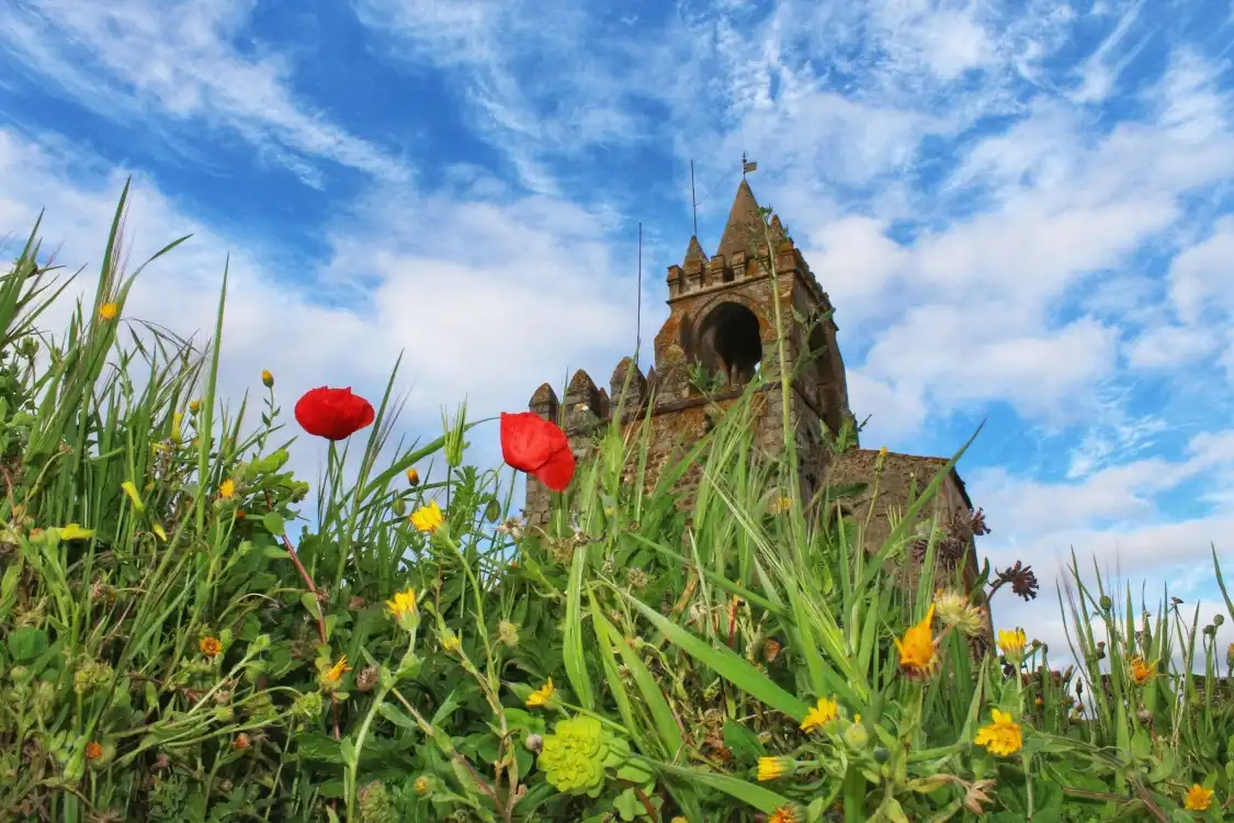 Hotel in zona Ruinas do Castelo de Montemor-o-novo