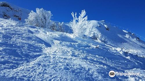 Mammoth Mountain Ski Area