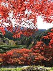 Japanese Garden Keishu-en
