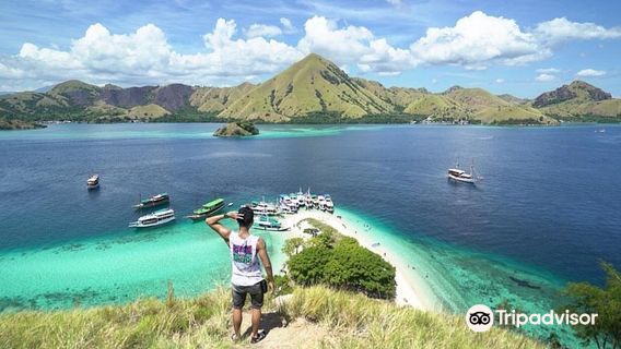 Komodo