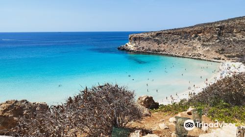 Spiaggia dei Conigli