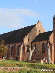 Cattedrale di Maribo