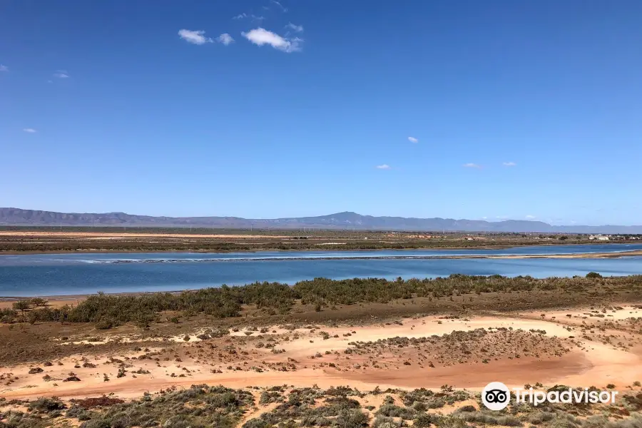 Matthew Flinders Red Cliff Lookout