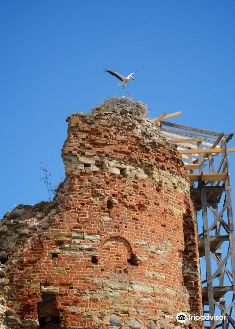 Ruins of Vastseliina Episcopal Castle