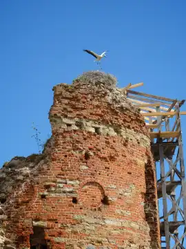 Ruins of Vastseliina Episcopal Castle