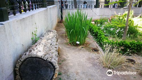 Botanical Garden of the University of Granada