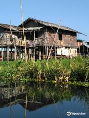 Floating Gardens