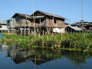 Floating Gardens