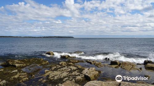 Somes Sound