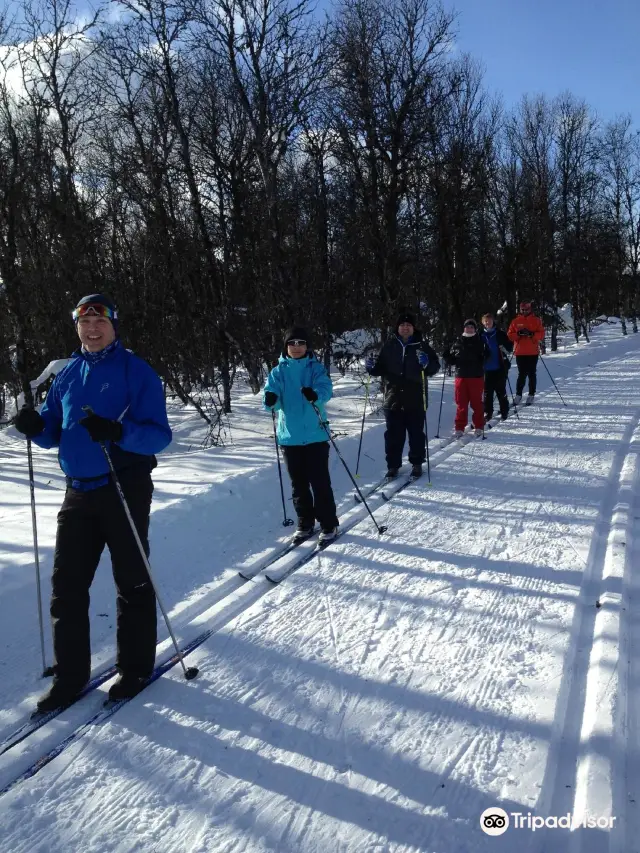 Skiing in Oslo