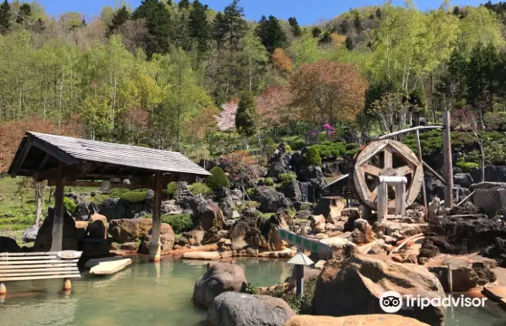 豊平峽溫泉門票成人