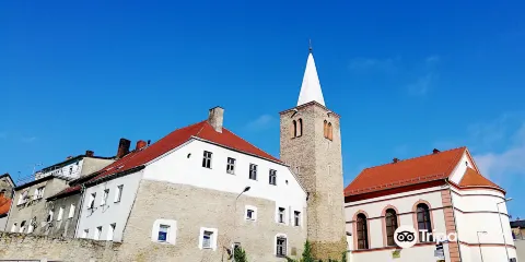 Muzeum Filumenistyczne