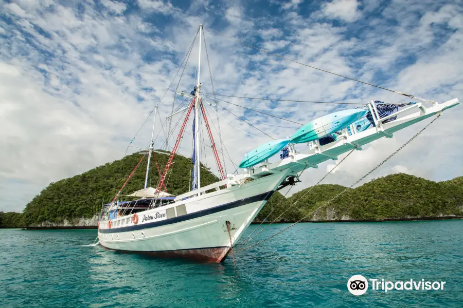 Palau Siren - Siren Fleet