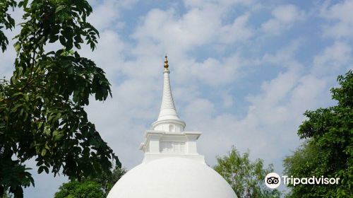 World Peace Pagoda