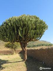 Dungur Palace (Queen of Sheba Palace)