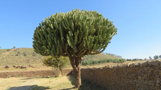 Dungur Palace (Queen of Sheba Palace)