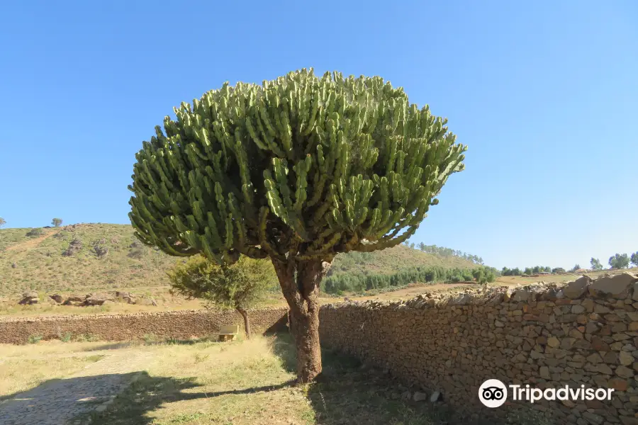 Dungur Palace (Queen of Sheba Palace)