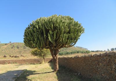 ቤተ መንግስቲ ንግስቲ ሳባ | Dungur Palace (Queen of Sheba Palace)