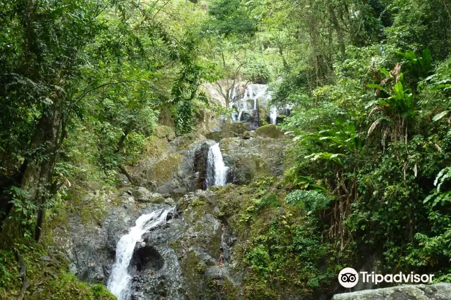 Argyle Waterfall