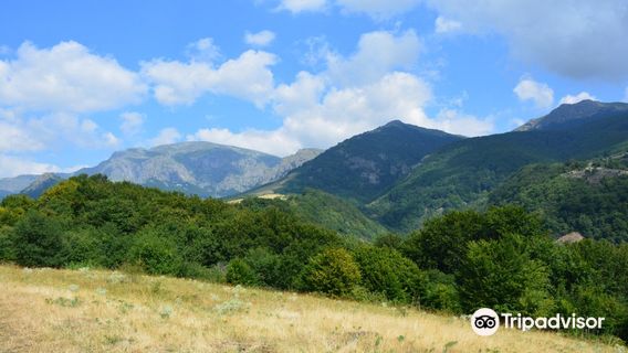 Central Balkan National Park