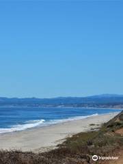 Sunset State Beach