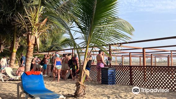 Project Biodiversity Turtle Conservation Hatchery