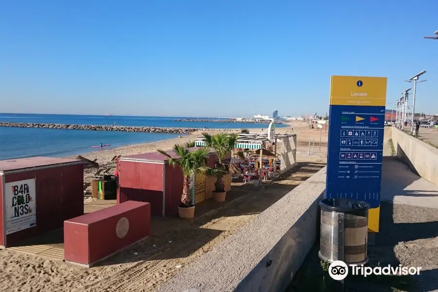 Playa de Llevant