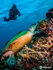 Scuba Republic Diving Komodo