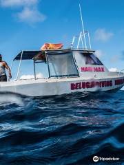 Beluga Diving Vava'u
