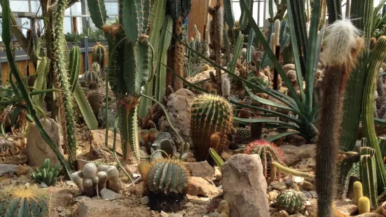 Cacti Pavilion