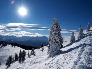 Naturpark Dobratsch