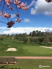 Dunmurry Golf Club