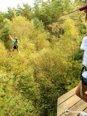 Go Ape Buxton （Treetop Challenge, Zip Lines, High Ropes）