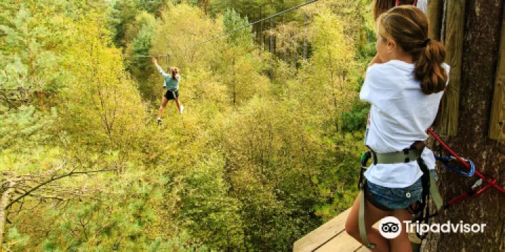 Go Ape Buxton （Treetop Challenge, Zip Lines, High Ropes）