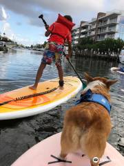 SUP PUP Paddleboard Ft. Lauderdale