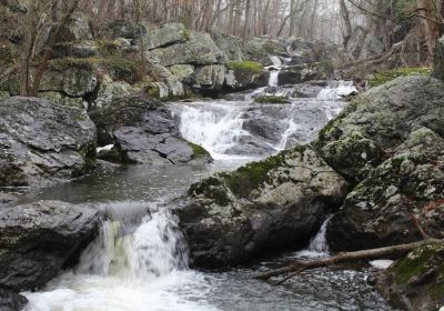 Gilpin's Falls