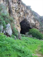 Riserva naturale orientata Pizzo Cane, Pizzo Trigna e Grotta Mazzamuto