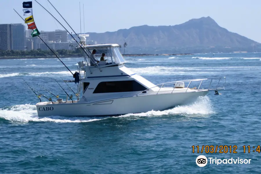 Whipsaw Sportfishing