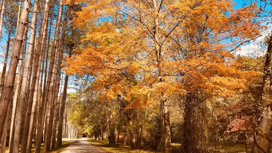 Beaver Creek State Park