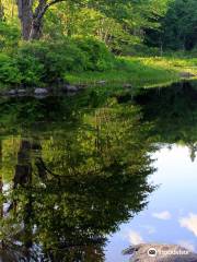 Edward MacDowell Lake