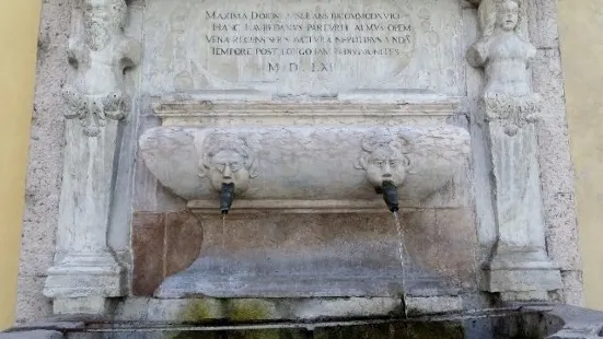 Fontana della Motta di Belluno